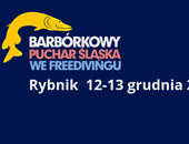 Barbórkowy Puchar Śląska we freedivingu