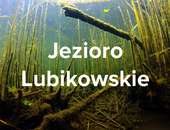 Jezioro Lubikowskie (lubuskie)