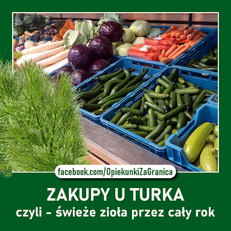 https://m.nurkowa.pl/2022/10/orig/ziola-u-turka-800x800-2321.jpg