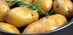 Pellkartoffeln czyli ziemniaki gotowane w mundurkach 