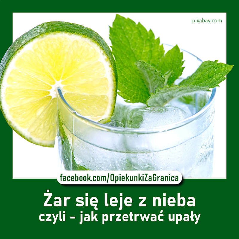 https://m.nurkowa.pl/2023/06/orig/limonka-800x800-2637.jpg